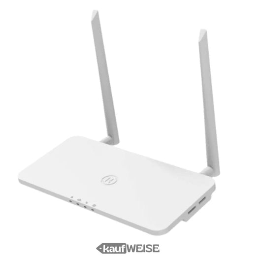 Hoymiles DTU-Pro-S – WLAN andmesalvestaja mikroinverteritele | Järelevalve ja järelevalve